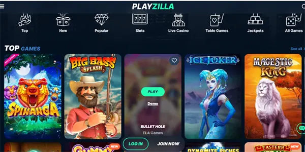 options de paiement Playzilla
